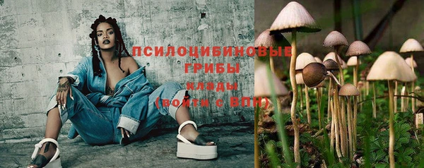 герыч Алзамай
